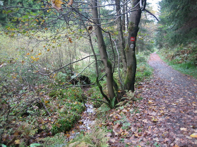  Herbstlandschaft!